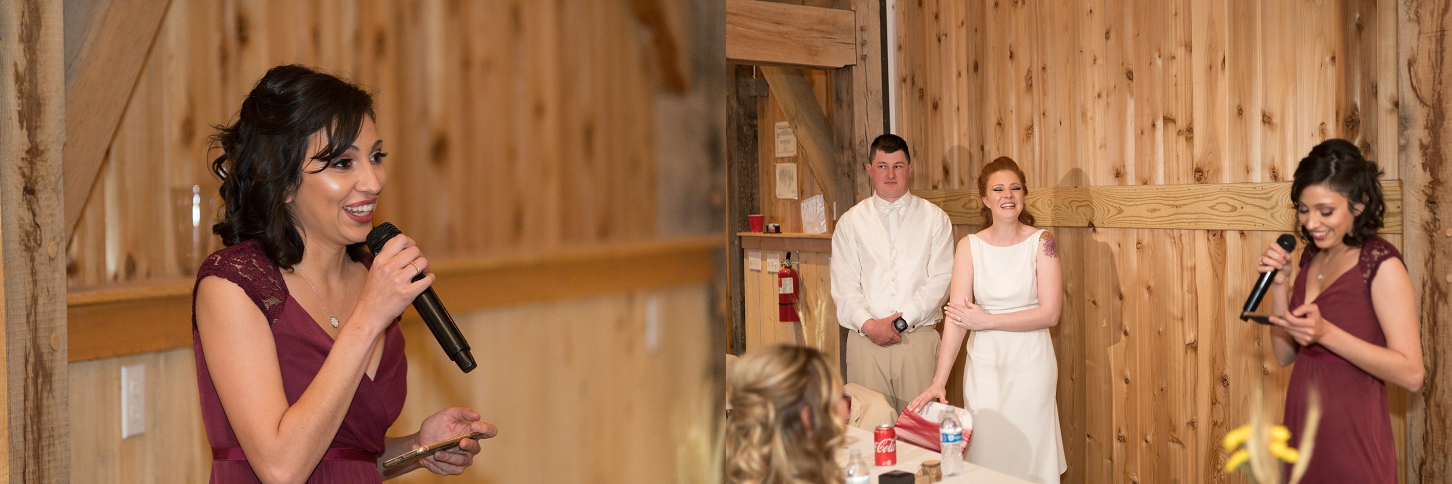 Wedding-Toasts-Photos-The-Barn-at-Kill-Creek-Wedding-Photos-De-Soto-KS-Emily-Lynn-Photography