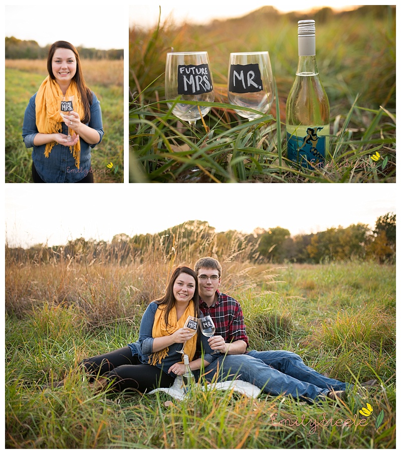 Surprise proposal photographer