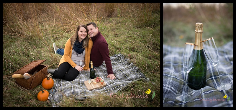 Picnic engagement session at Overlook Park at Clinton Lake
