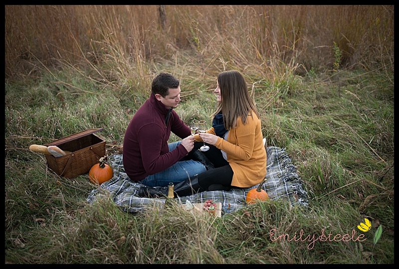 picnic engagement photo